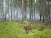 Особый противопожарный режим отменен